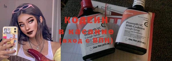 дживик Козельск