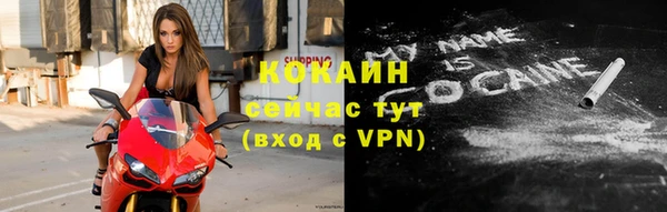 дживик Костерёво