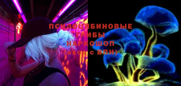 spice Козловка
