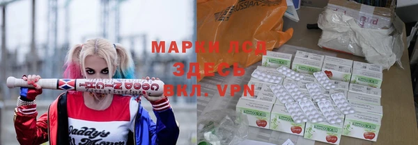 дживик Козельск