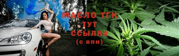 дживик Костерёво