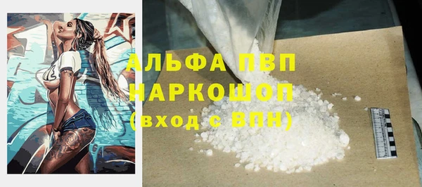 дживик Козельск