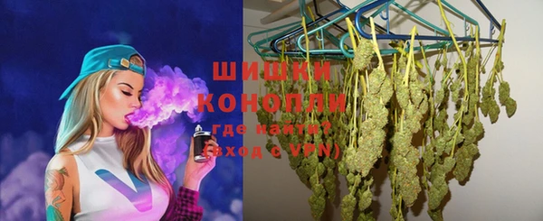 дживик Козельск