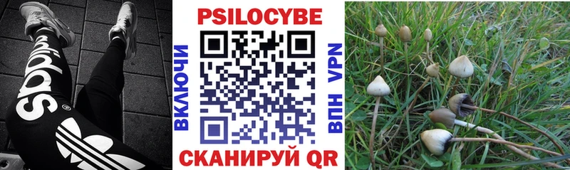 Галлюциногенные грибы Magic Shrooms  наркошоп  Белоозёрский 