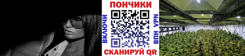 даркнет сайт  blacksprut ссылка  МАРИХУАНА SATIVA & INDICA  Белоозёрский 